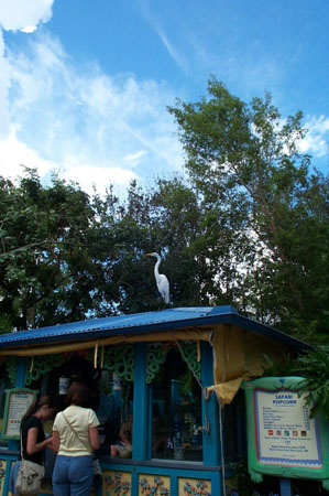 disney040939