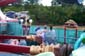 disney040908