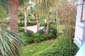 disney040909