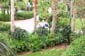 disney040910