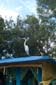 disney040940